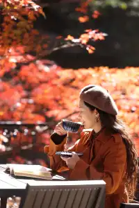 11月28日實拍|莫干山的紅楓|原圖直出