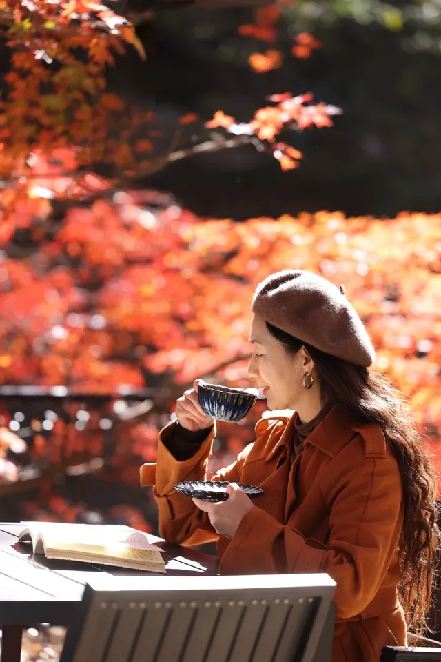 11月28日實拍|莫干山的紅楓|原圖直出 11月28日實拍|莫干山的紅楓|原圖直出