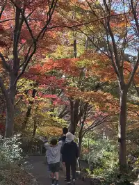 名古屋的秋東山 犬山 真的很好拍~