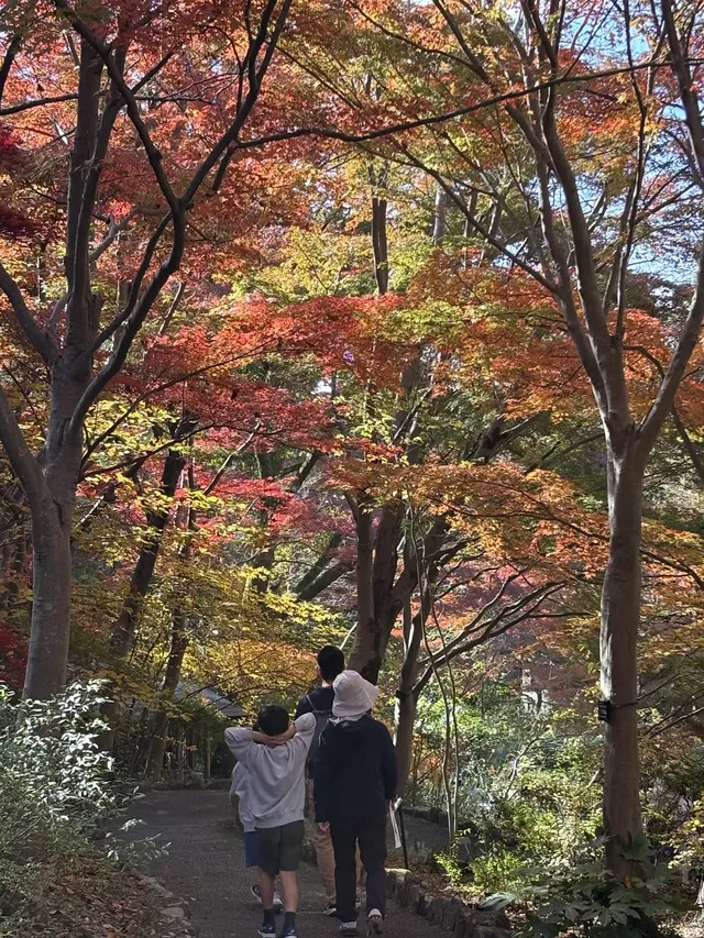 名古屋的秋東山 犬山 真的很好拍~ 名古屋的秋東山 犬山 真的很好拍~