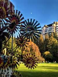 上海絕美紅葉秘境長風公園的秋天也太犯規了吧！