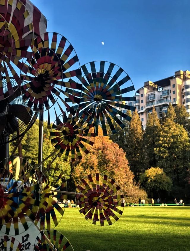 上海絕美紅葉秘境長風公園的秋天也太犯規了吧！