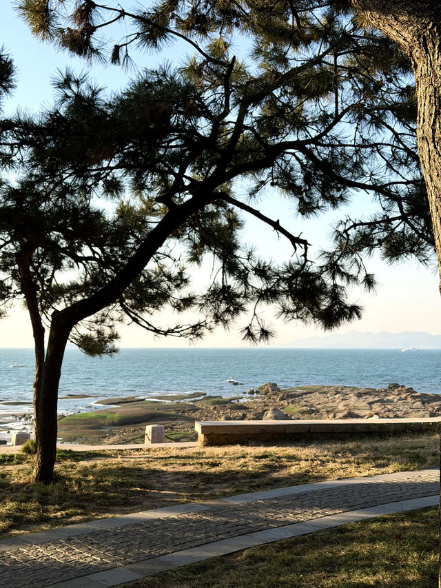 青島冬日Seawalk新路線太平角公園拍照攻略Get! 青島冬日Seawalk新路線太平角公園拍照攻略Get!