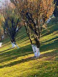 登寥廓山,收藏一城秋色 | 曲靖風光與旅居指南