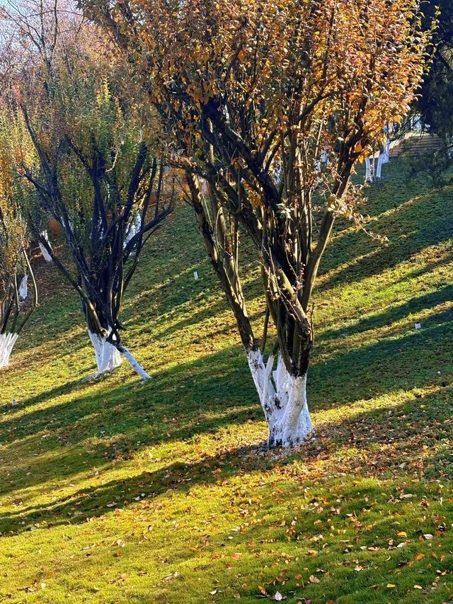 登寥廓山,收藏一城秋色 | 曲靖風光與旅居指南 登寥廓山,收藏一城秋色 | 曲靖風光與旅居指南
