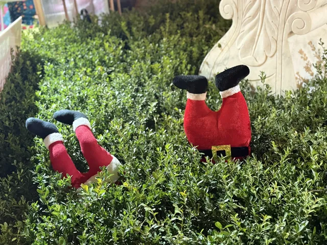 11.30 實況 這個冬日小鎮真的太浪漫了! 11.30 實況 這個冬日小鎮真的太浪漫了!