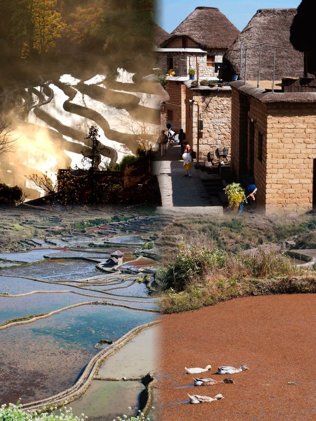 雲南冷門王炸!12月暖冬+馬幫古城+萬畝梯田|躺玩攻略 雲南冷門王炸!12月暖冬+馬幫古城+萬畝梯田|躺玩攻略