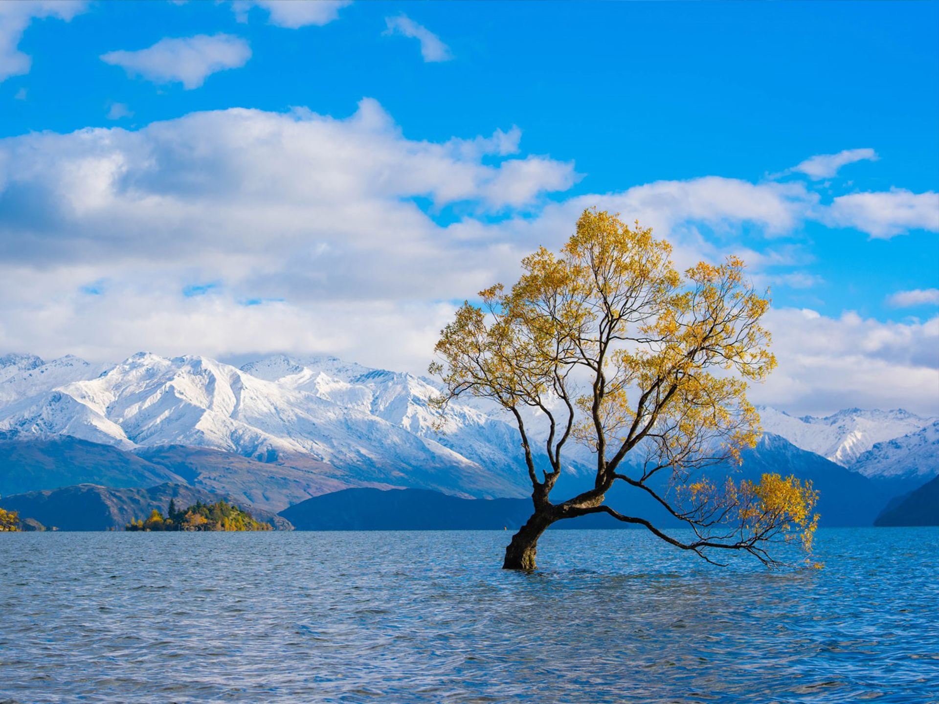 Chuyến đi 12 ngày đến New Zealand vào mùa đông thực sự rất đáng giá!