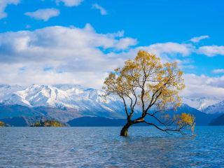 新西蘭12日遊冬天來這玩太值了