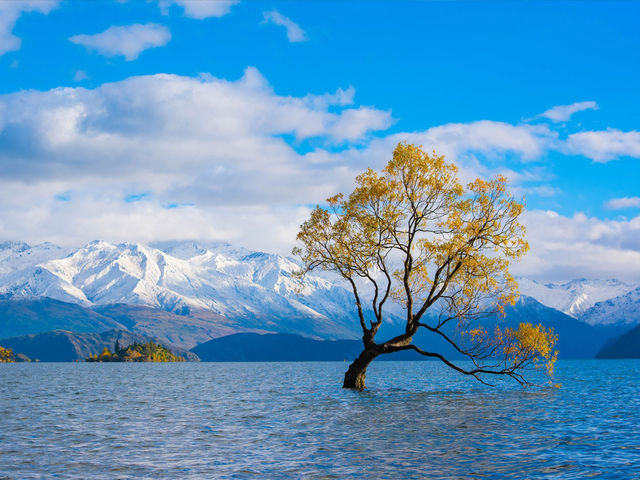 新西蘭12日遊冬天來這玩太值了 新西蘭12日遊冬天來這玩太值了