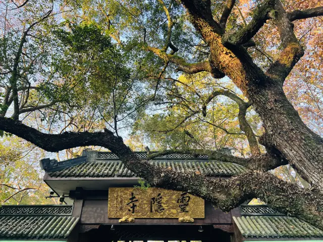 วัดหลิงอิ่นถ้ำชิงหลิน