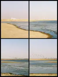 給北海流的候鳥拍組膠片|Portra400