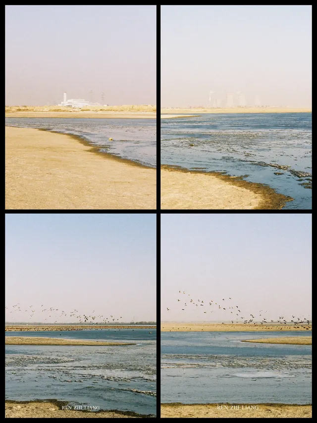 給北海流的候鳥拍組膠片|Portra400 給北海流的候鳥拍組膠片|Portra400