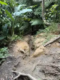 波多黎各遊玩，建議及避坑