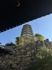 是何老師同款濮院！《嚮往》裡的秋日油畫江南！