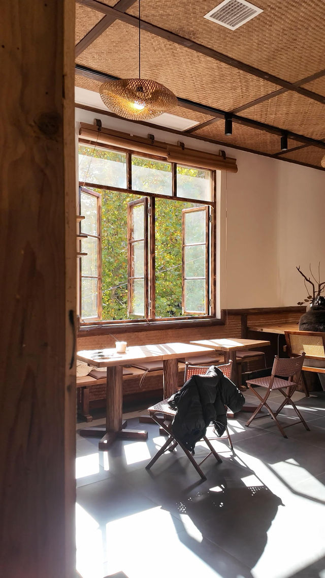 長沙週末躺平指南