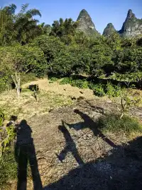 13公里漓江徒步用腳步畫了一幅山水畫卷