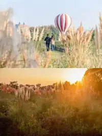 鹽城三日出逃計劃|自然與狂歡的雙重治癒