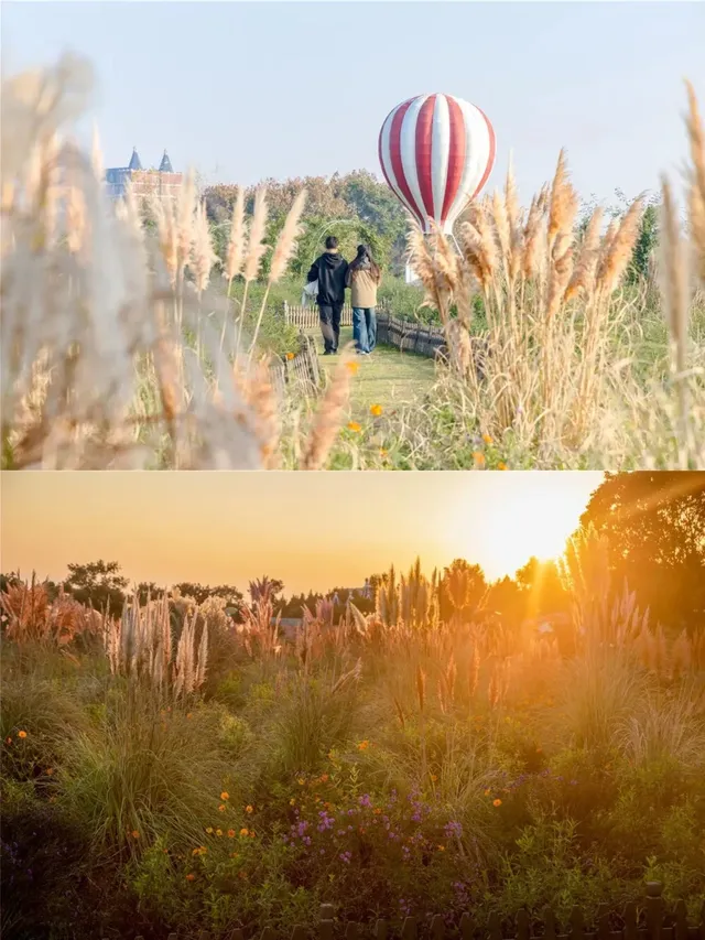 鹽城三日出逃計劃|自然與狂歡的雙重治癒 鹽城三日出逃計劃|自然與狂歡的雙重治癒