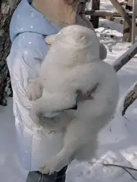 一日速通老里克湖&長白山北坡攻略