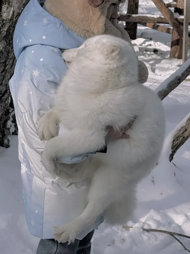 一日速通老里克湖&長白山北坡攻略