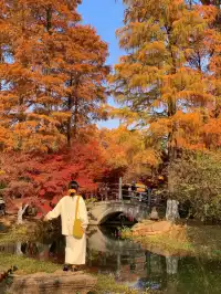 12.1武漢|現實版秋日莫內油畫~地鐵直達