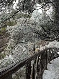三清山外雙溪索道攻略|避開人潮!承包美景