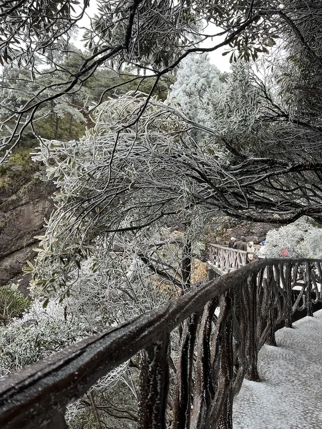 三清山外雙溪索道攻略|避開人潮!承包美景 三清山外雙溪索道攻略|避開人潮!承包美景