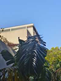 在南澳隱秘山谷裡,住進了她的花藝工作室