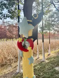 合肥毛衣樹遊園會紅衫林是大自然的調色盤