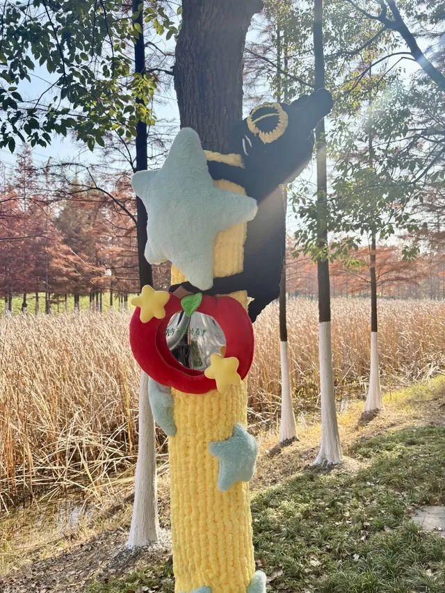 合肥毛衣樹遊園會紅衫林是大自然的調色盤 合肥毛衣樹遊園會紅衫林是大自然的調色盤