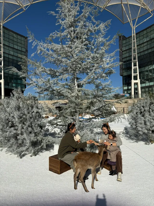 小來黃島嘉年華海信廣場啦~ 小來黃島嘉年華海信廣場啦~