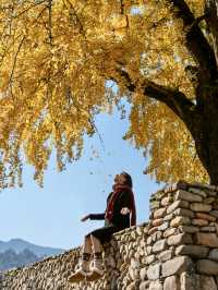 不是騰衝!在溫州!浙南12月濃烈的生命力~