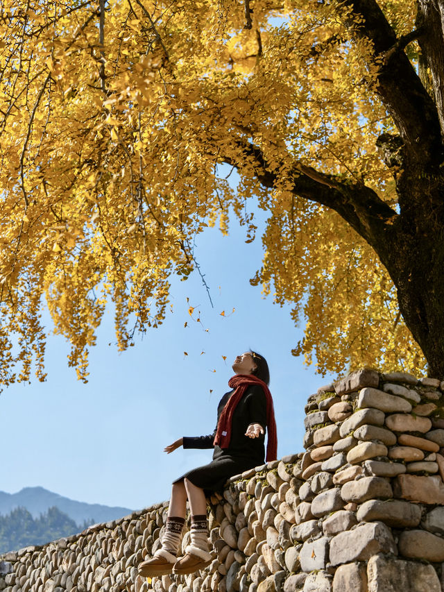 不是騰衝!在溫州!浙南12月濃烈的生命力~ 不是騰衝!在溫州!浙南12月濃烈的生命力~