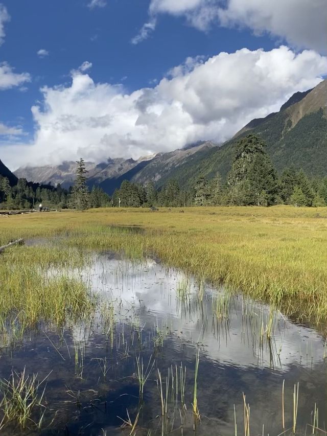 林芝3日遊這篇攻略讓你玩到盡興 林芝3日遊這篇攻略讓你玩到盡興