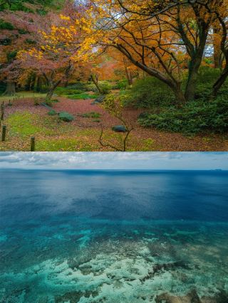 แผนการเดินทาง 11 วันที่จัดทำโดยชาวอะบอริจินออสเตรเลียหลังจากอดนอนทั้งคืน