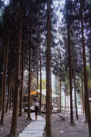 打工人的週末｜扎進山野松林的避世時光