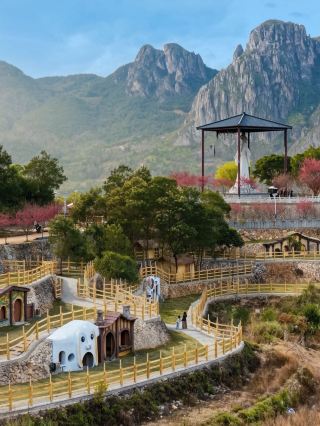 High-altitude Pet Paradise! This really is the ultimate place for kids in Wenzhou!