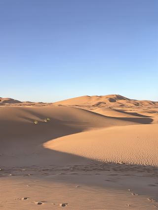 7-Day Visa-Free Ultimate Guide to Exploring Morocco is Here