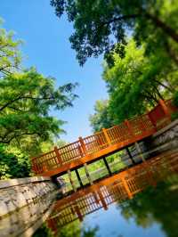 保定這座江南風公園是夏日避暑的仙境！