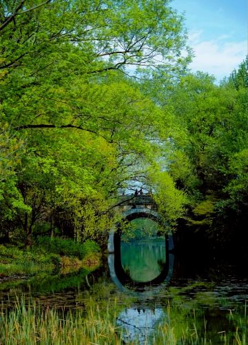 Hidden secret spot by West Lake in Hangzhou: few people, beautiful