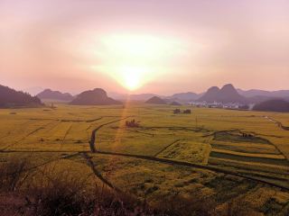 Golden Wonderland! The Ultimate Guide to Luoping Rapeseed Flower Sea