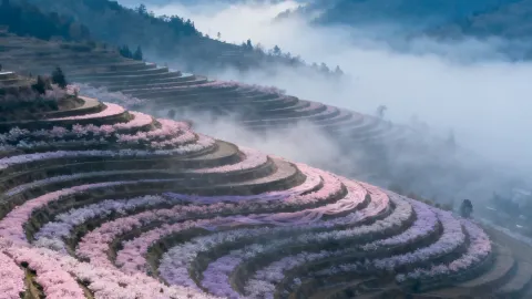 棚田の雲海を枕に眠るとはどんな体験か — traveler post in 固原