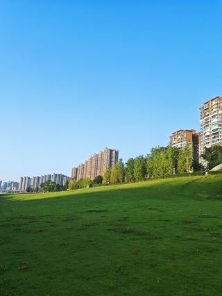 楽山滟澜洲湿地 | 盛夏の清晨に絶美な江畔散歩
