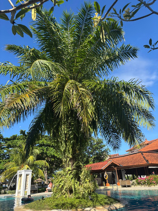 Rasanya seperti pulang ke rumah!