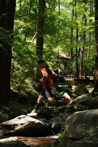 Beijing National Botanical Garden is the perfect place for a run