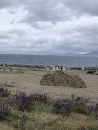 松樹頭絕美觀景地