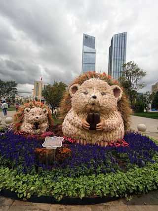 Kunming Dongfeng Flower Street (Dongfeng Square Riverside Flower Leisure Plaza) is a new trendy spot in the city center. The giant cute animals made of flowers and plants are just too adorable!