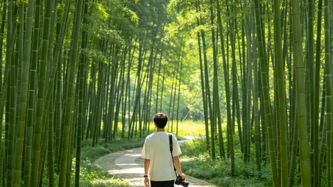 란후의 일몰은 말문이 막힐 만큼 아름답다 — traveler post in 란시