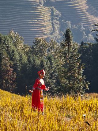 Stunning sunrise views from the clouds at Longji
